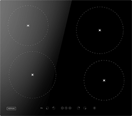 Induktionsfeld Reparatur Viernheim